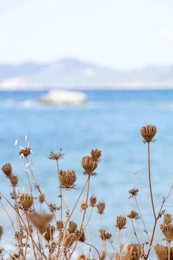 Eco Village Baia Delle Ginestre 特乌拉达 外观 照片