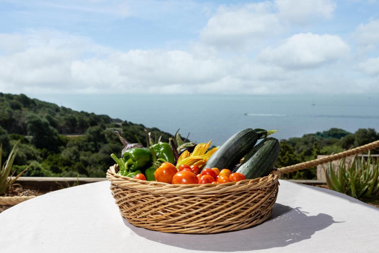 Eco Village Baia Delle Ginestre 特乌拉达 外观 照片