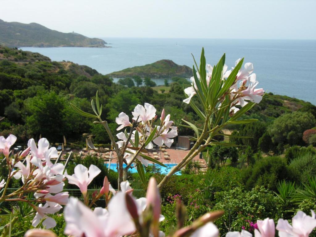 Eco Village Baia Delle Ginestre 特乌拉达 客房 照片