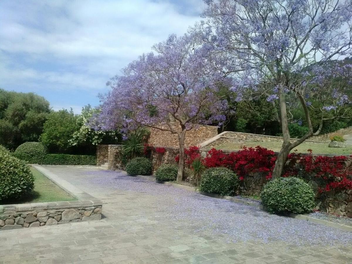 Eco Village Baia Delle Ginestre 特乌拉达 外观 照片
